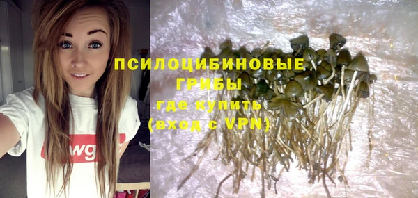 хмурый Майский