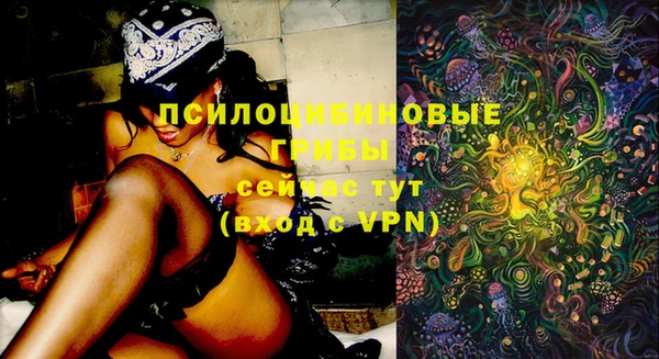 гашик Магадан