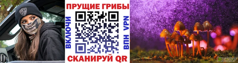 Купить  Юрга  Галлюциногенные грибы мицелий 